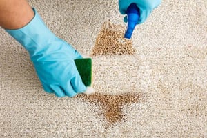 How To Remove Carpet Stains In Commercial Settings removing carpet stain with gloves