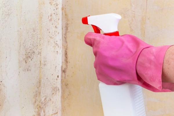 killing-mold-room-wall-with-chemical-spray 