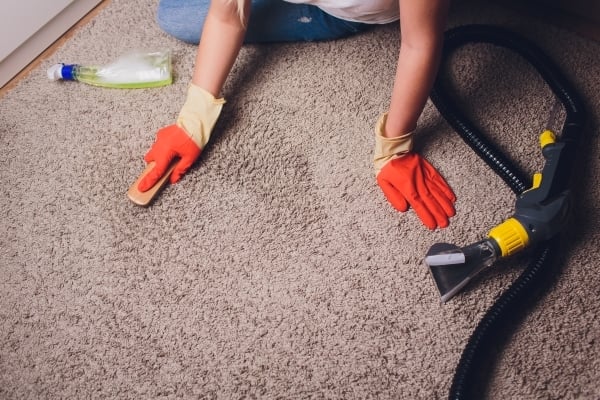 cleaning products for carpet
